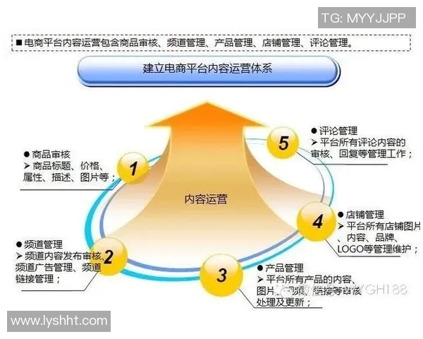 深入分析北京排球队的运营策略与市场推广模式